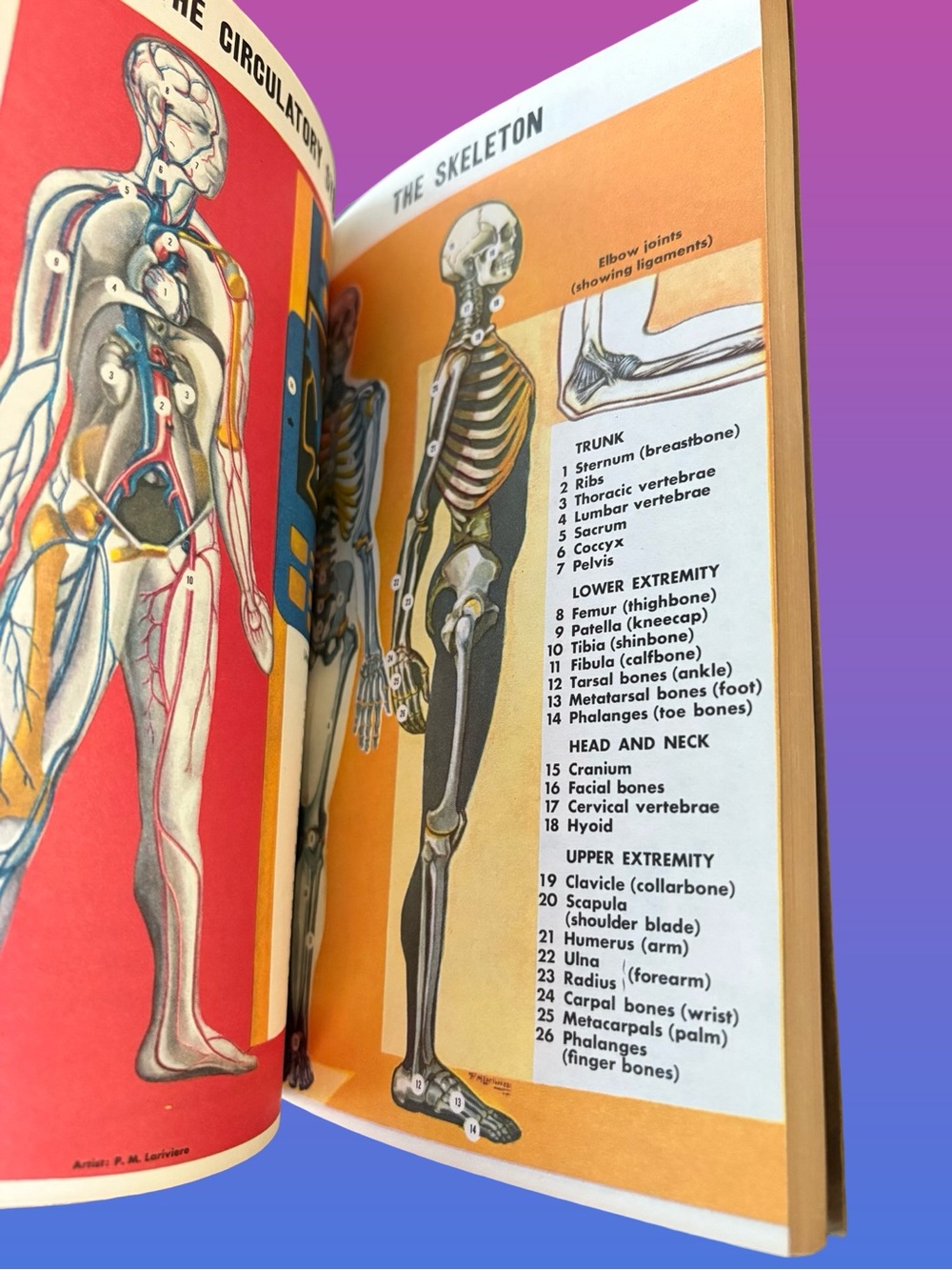 First Aid Guide Book - Green - - Picture 10 of 10